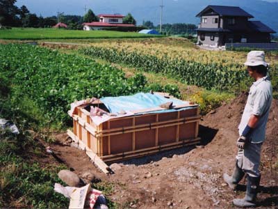 養生